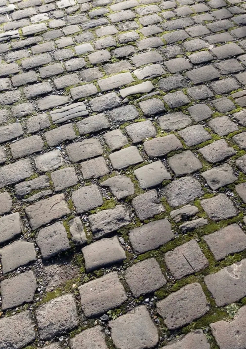 SPS16057  European Cobblestone Street Section  1/16